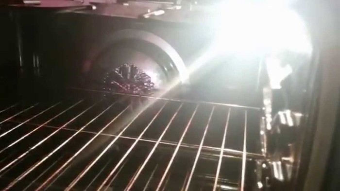 Can You Put LED Bulb in the Oven (What Kind Works) - Fork & Spoon Kitchen