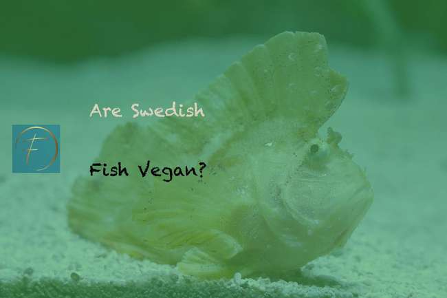 Are Swedish Fish Vegan? - Fork & Spoon Kitchen