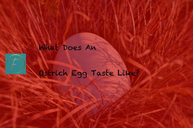 What Does An Ostrich Egg Taste Like? - Fork & Spoon Kitchen
