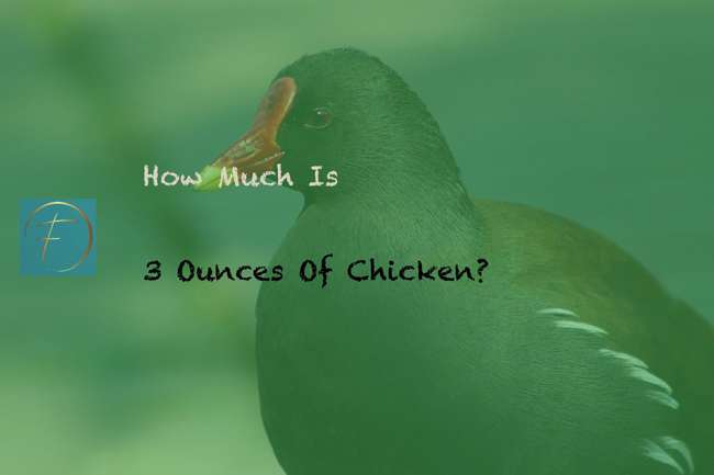 How Much Is 3 Ounces Of Chicken? - Fork & Spoon Kitchen