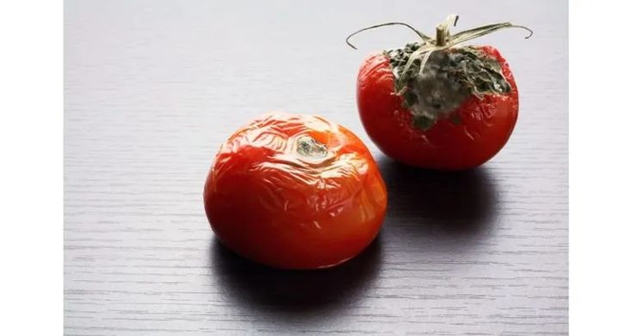 Are Overripe or Wrinkled Tomatoes Safe To Eat? | Tomates farcies, Tomates,  Tomates pourries
