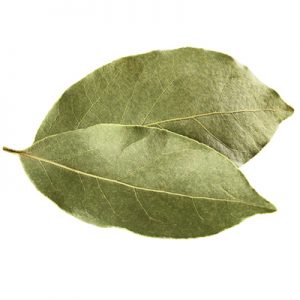 Are Bay Leaves Dangerous to Eat? | MySpicer | Bulk Herbs and Spices