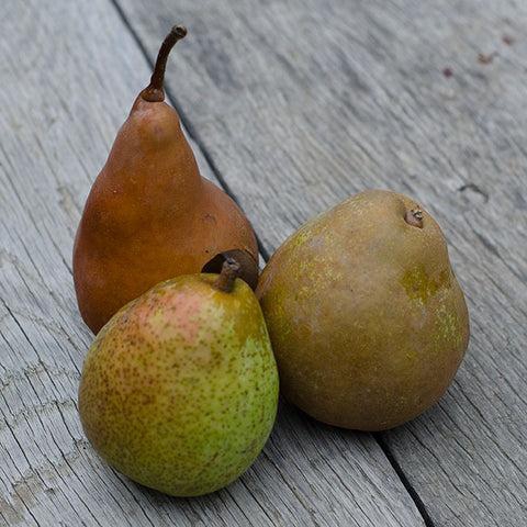 How to keep your pears from turning brown? - Frog Hollow Farm