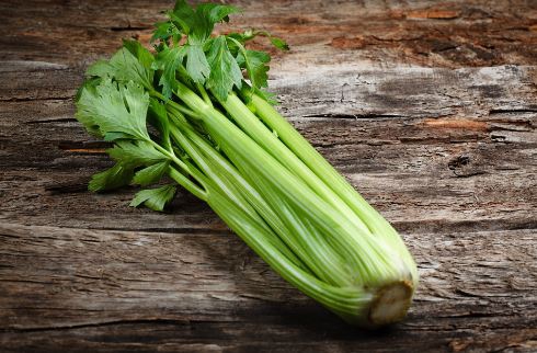 How to Store Celery in the Fridge [Cut Sticks, Root] Fresh - Kitchen Lily