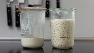 Can You Use Sourdough Starter Straight From The Fridge? – Food To Impress
