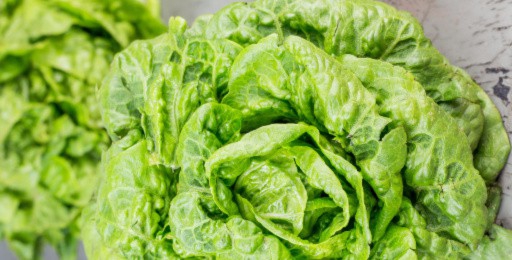 How to Store Lettuce in the Fridge so it Lasts Longer | MOMables