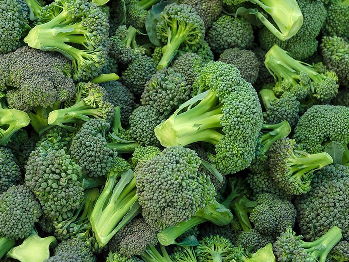 How To Store Broccoli: Tips Housewives Should Know In 2022