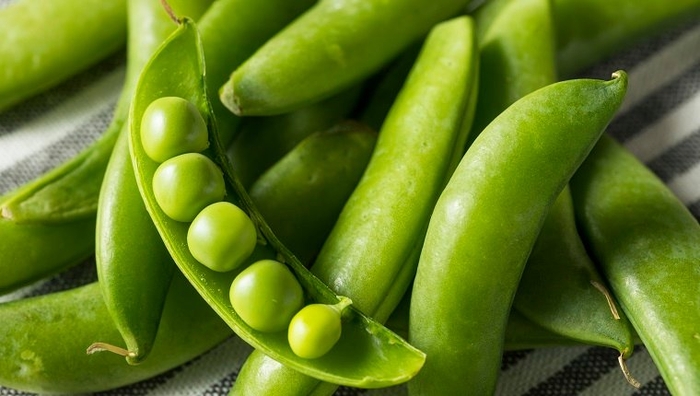 Can Dogs Eat Snap Peas? Are Snap Peas Safe For Dogs? - DogTime