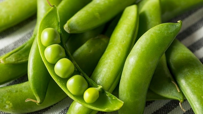 Can Dogs Eat Snap Peas? Are Snap Peas Safe For Dogs? - DogTime