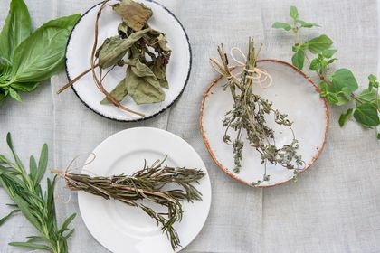 How to Dry and Store Fresh Garden Herbs