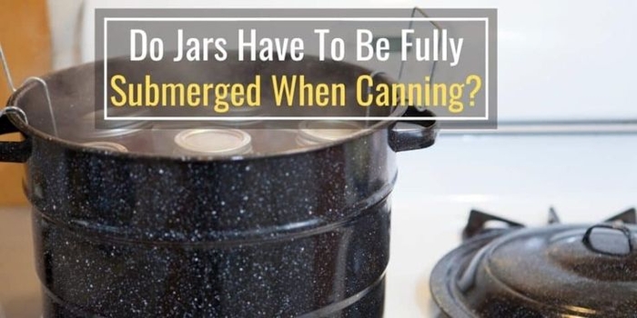 Do Jars Have To Be Fully Submerged When Canning? in 2022 | Canning, Canning  process, Jar