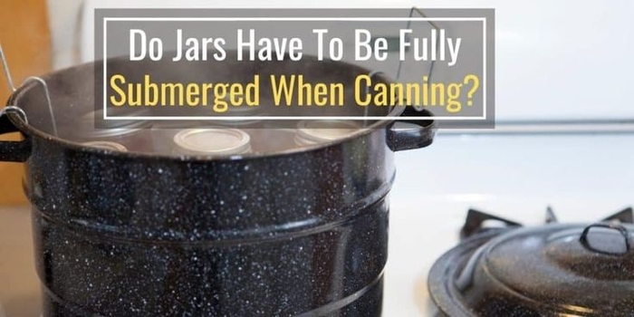 Do Jars Have To Be Fully Submerged When Canning? in 2022 | Canning, Canning process, Jar