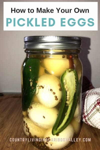 How to Make Pickled Eggs - Easy Recipe to Store in Fridge