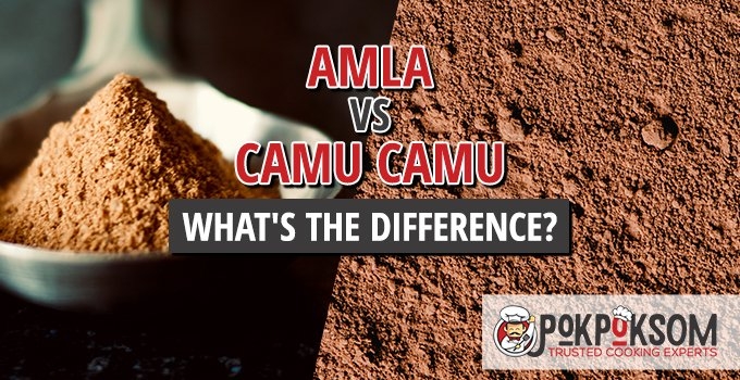 Amla vs. Camu Camu - What's The Difference? | PokPokSom