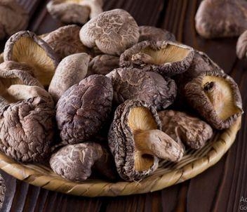 How to Dry Mushroom: Air drying, in the Oven, in the Dehydrator - Kitchen Lily