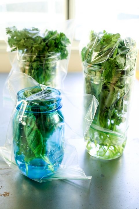 How to Store Fresh Herbs