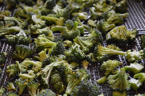 Drying Broccoli for Food Storage the Lazy Way - Joybilee® Farm | DIY |  Herbs | Gardening |