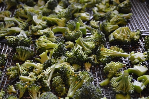Drying Broccoli for Food Storage the Lazy Way - Joybilee® Farm | DIY | Herbs | Gardening |