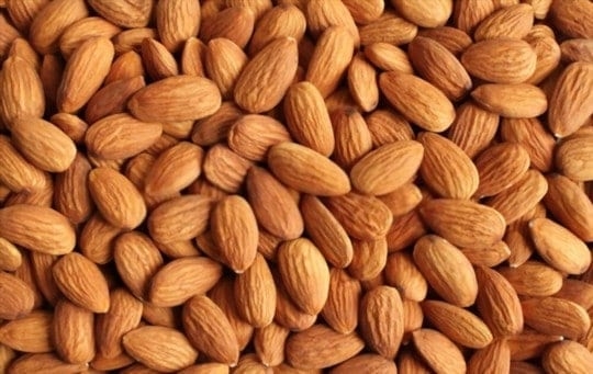 Can You Freeze Almonds? Easy Guide To Freeze Almonds | EatDelights