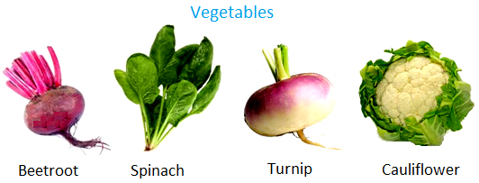 Food from Plants | Roots as Vegetables | Leaves as Food | Stems as  Vegetables