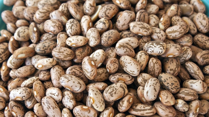 Beans a superfood. Here's 4 reasons to incorporate them into your diet