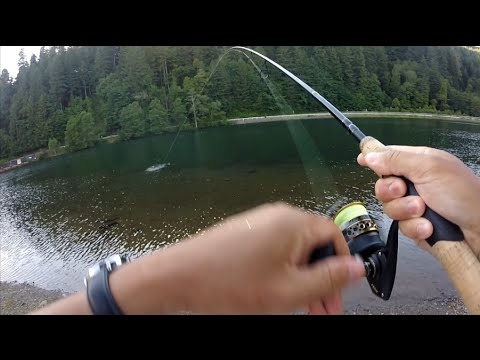 powerbait setup for trout - YouTube