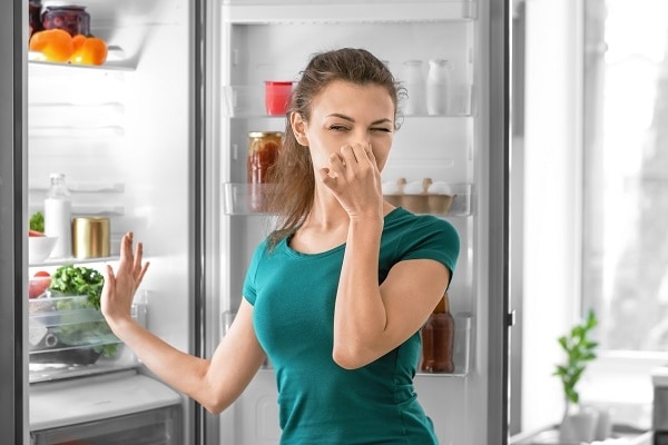 Why Your Samsung Refrigerator Smells Bad - Appliance King of America