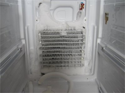 Why is My Samsung Refrigerator Warm but Freezer Cold? | Northeast Appliance  Service