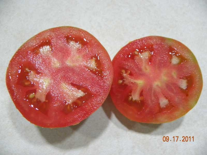 Tomato Fruit Problems