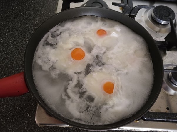 How to cook eggs without oil or butter - Quora