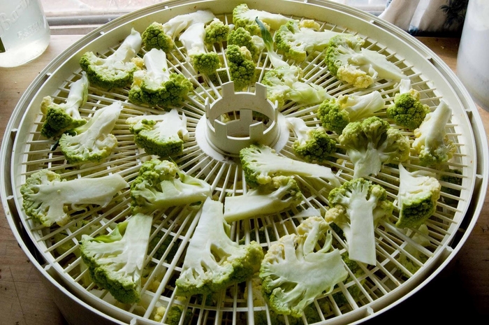 Dehydrating Way Beyond Jerky: Dehydrating Leftover Broccoli