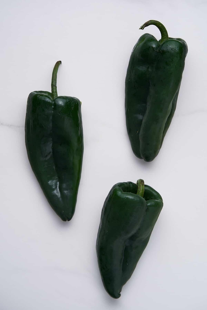 Chile Poblano: Everything You Need to Know About Poblano Peppers