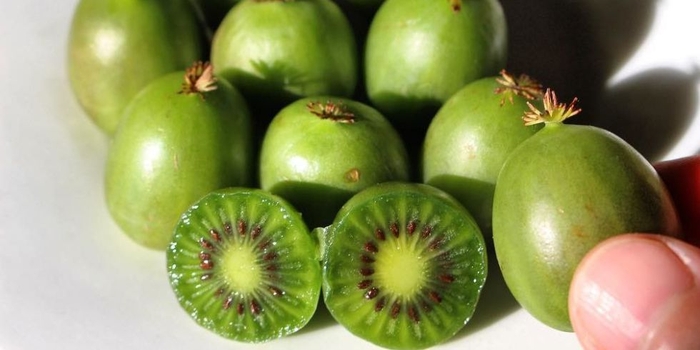 Kiwi Berries Are Going To Be Your New Fruit Obsession