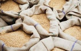 Storing Rice Long Term: 6 Useful Ways to Keep It Fresh